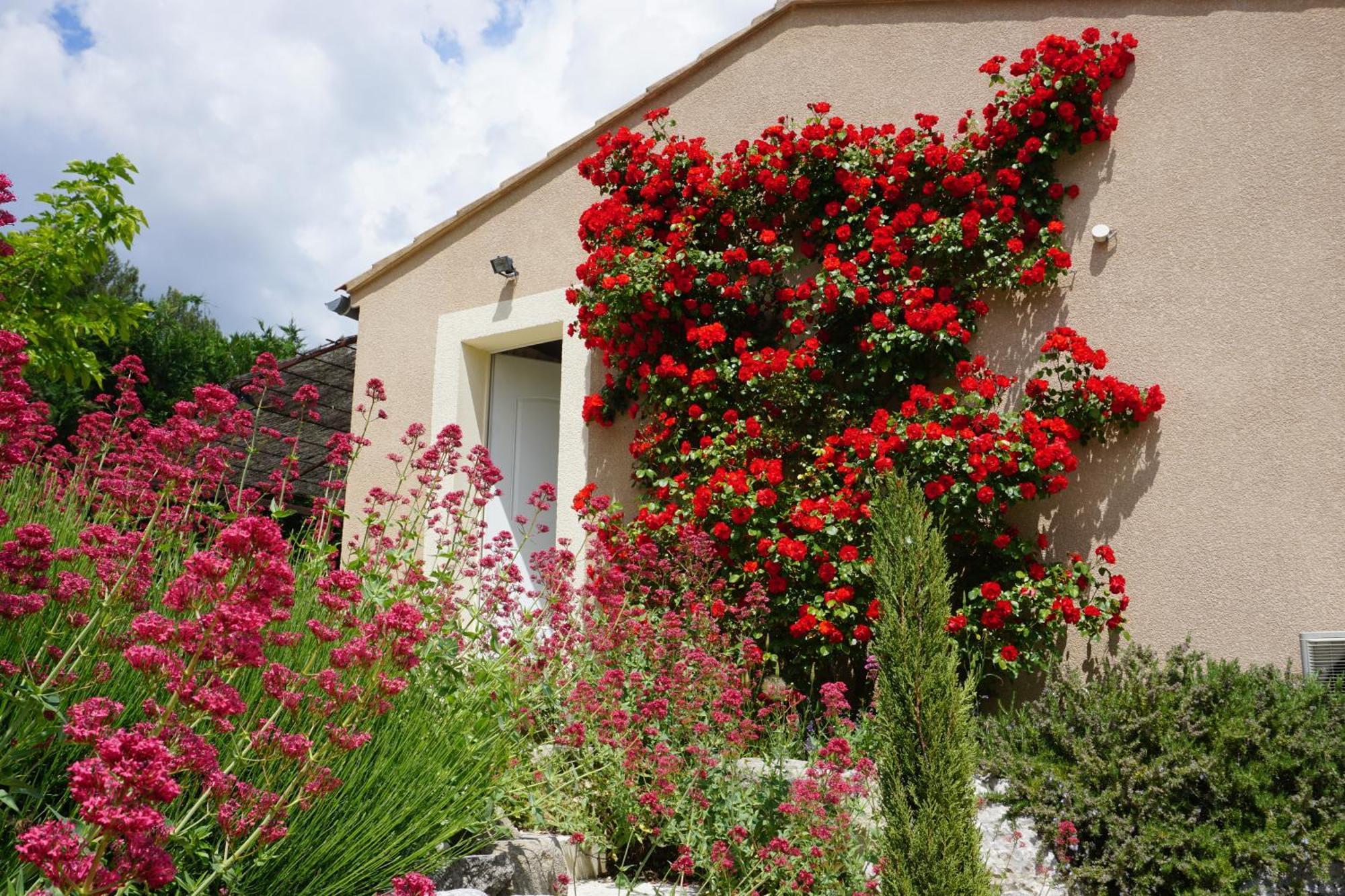 Villa Dodo Au Luberon à Villars  Extérieur photo